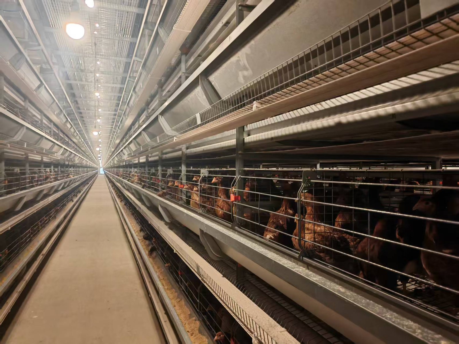 Henhouse Corridor