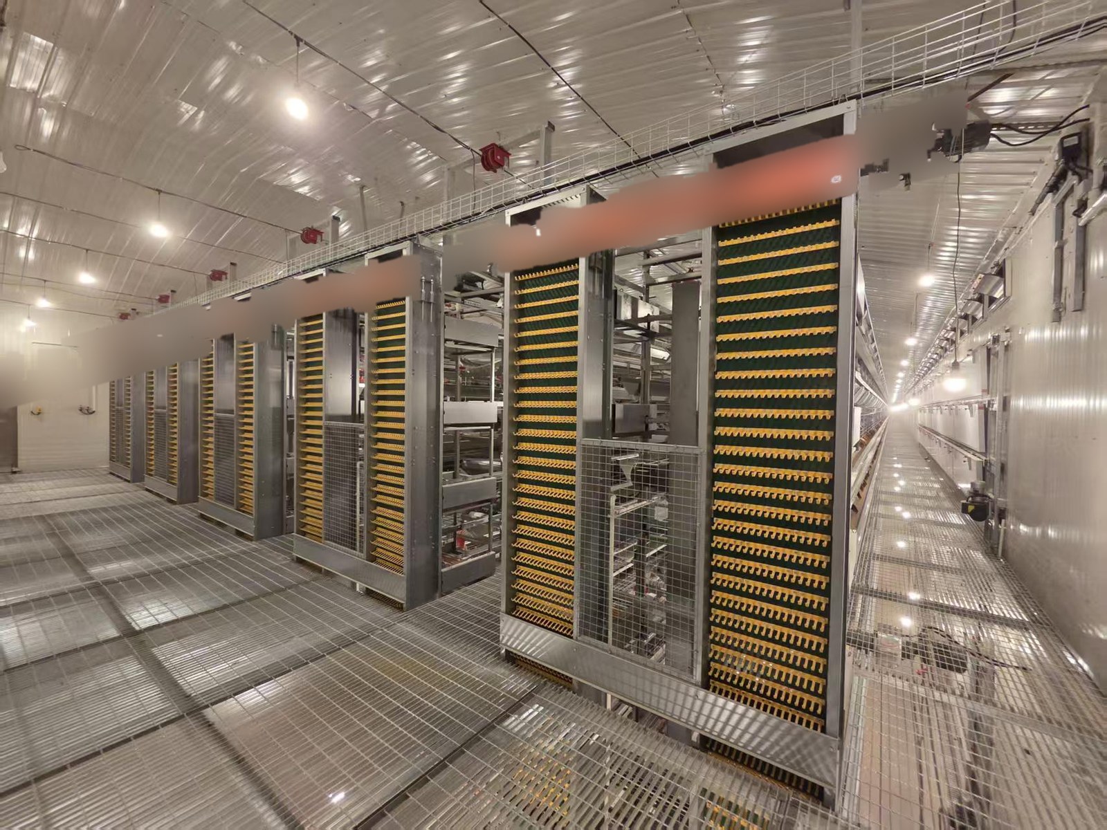 Cages and Inspection Walkway